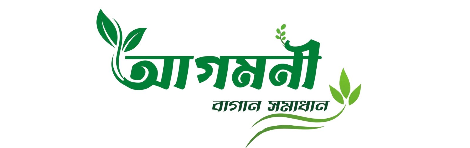 আগমনী বাগান সমাধান