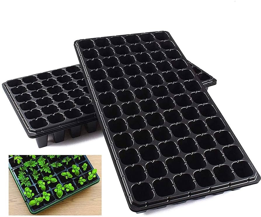 71X9ihkSbqL._UF894,1000_QL80_