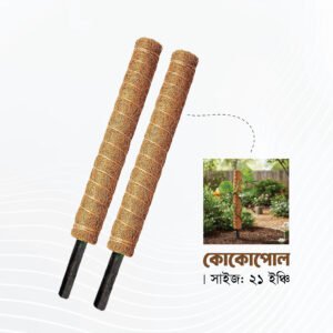 Coco Pole 21 Inch : কোকো পোল ২১ ইঞ্চি