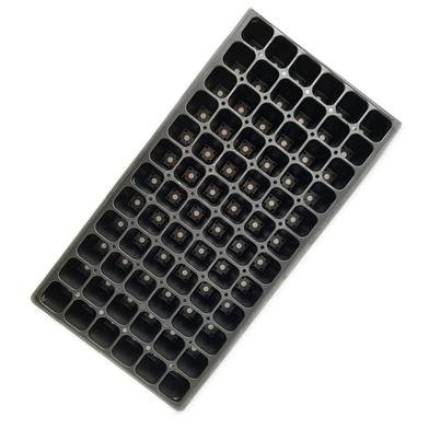 Seeding_tray_hole_72_Big_cell-Non_Brand-2e244-287078