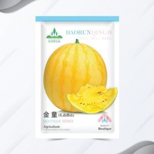 হলুদ তরমুজ বীজ | Yellow Watermelon Seeds 1 Packet 20pcs seeds | Boutique Quality