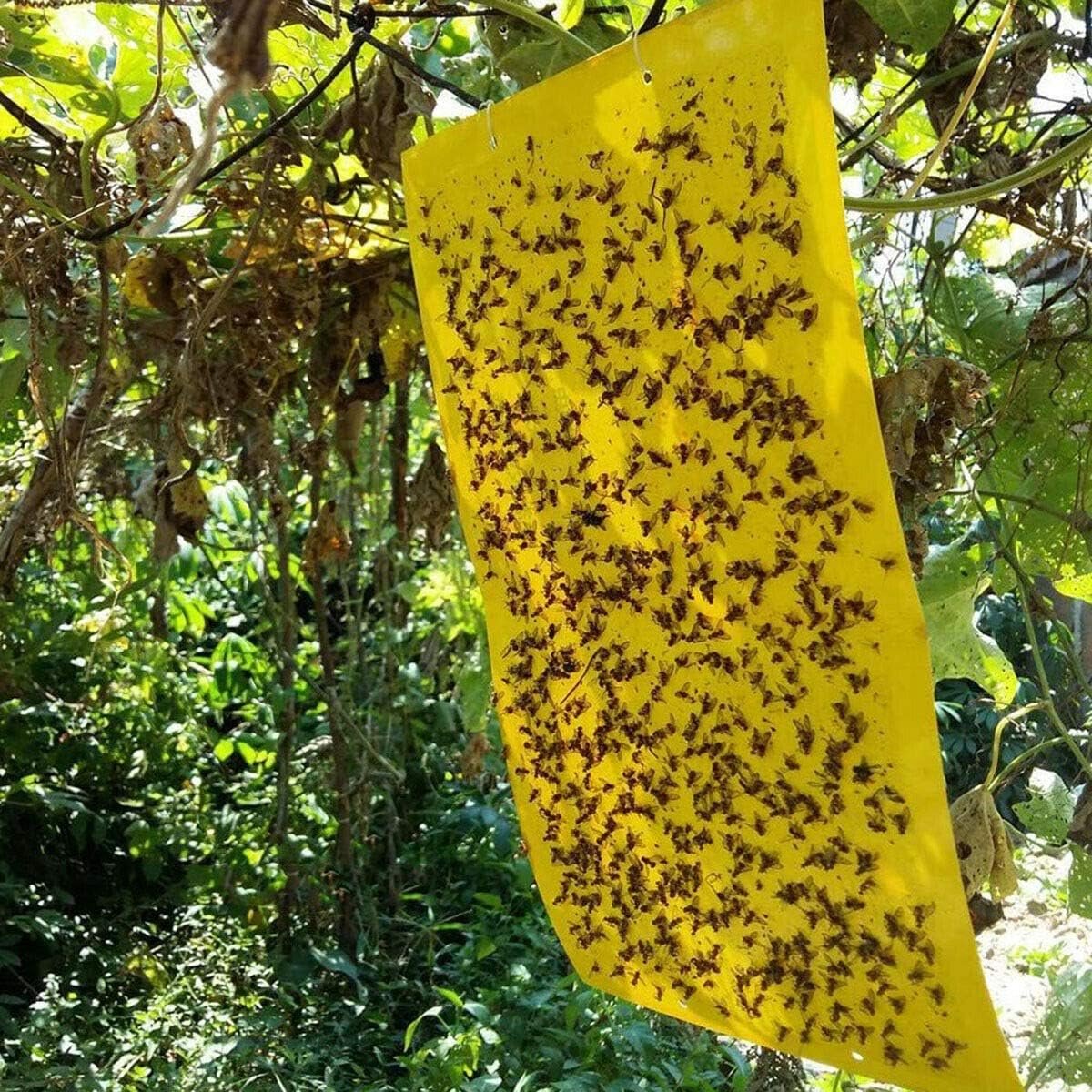 bbc2100df615779f1f6b6794a10d2845