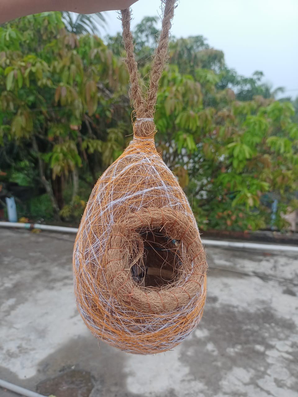 e4946360ad47298fa64e4a20c472a9db