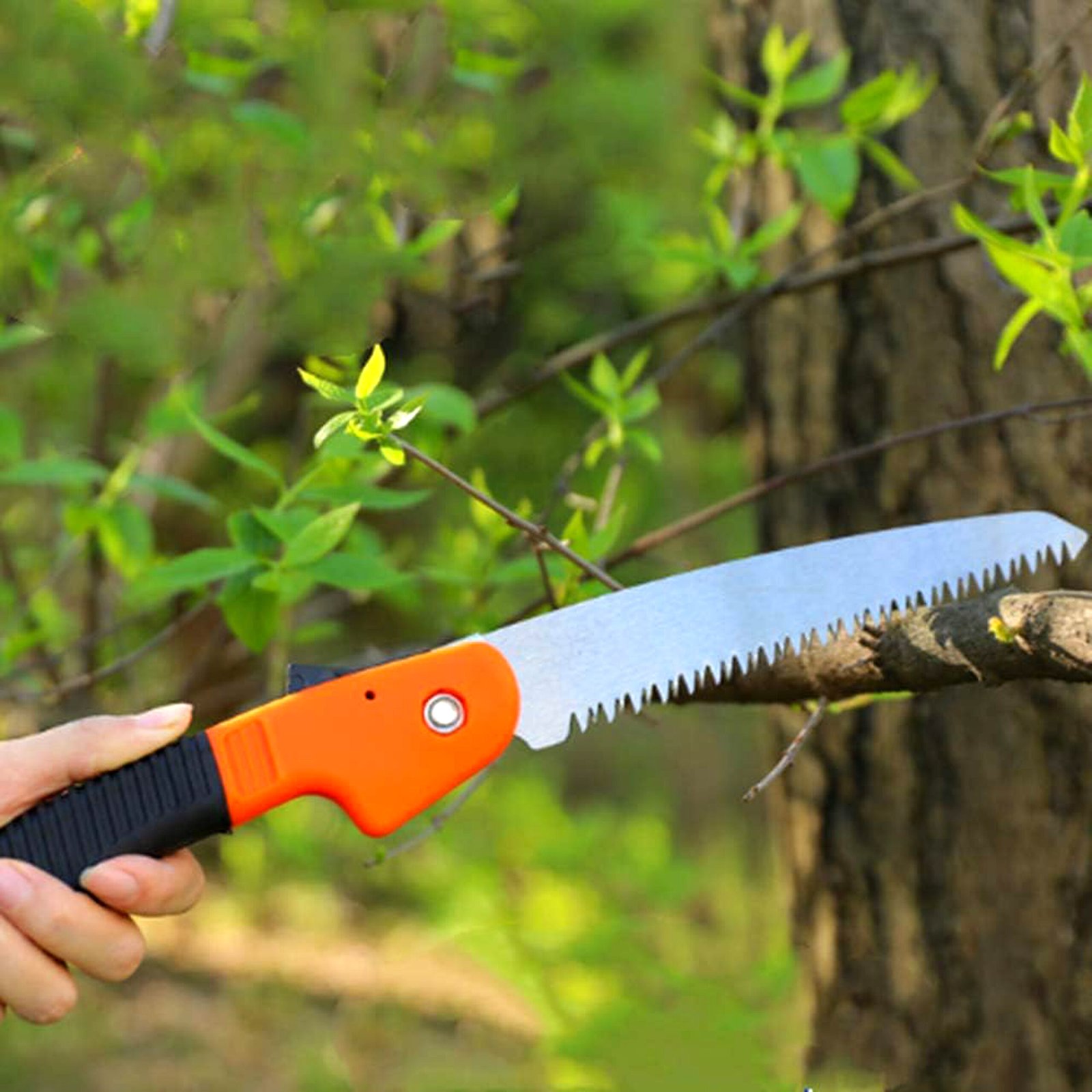 613-U7HAlVL._AC_SL1000_