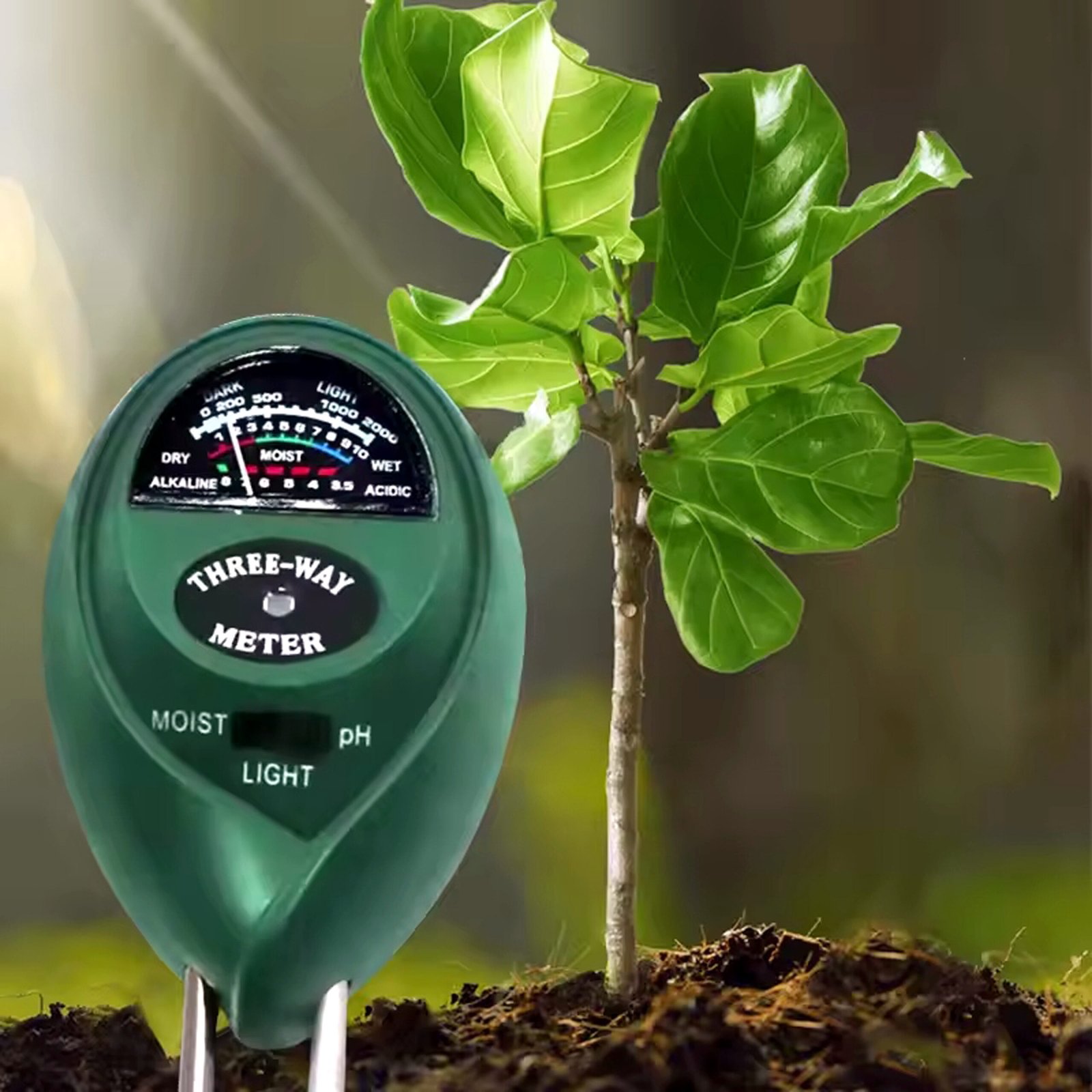 S4a025a6fa8394fc394a8a0bbbeeff49