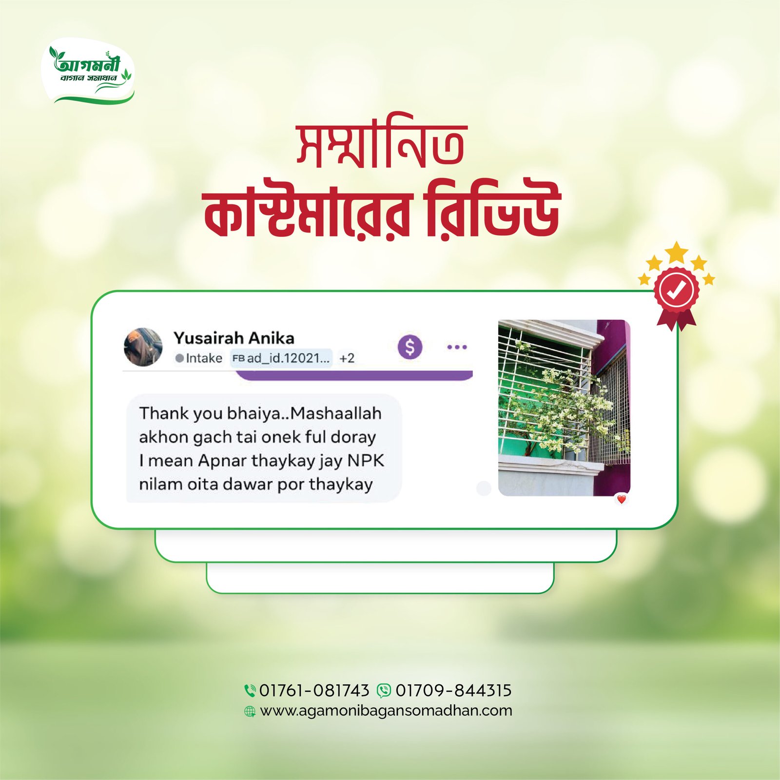 Customer Review (17)