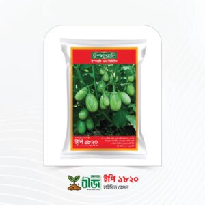 ইপি ১৮২০ (EP 1820) | হাইব্রিড বেগুন