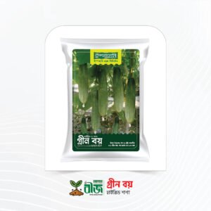 গ্রীন বয় (Green Boy) | হাইব্রিড শশা