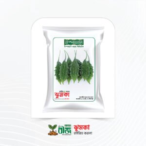 ঝুমকা (Jhumka) | হাইব্রিড মরিচ