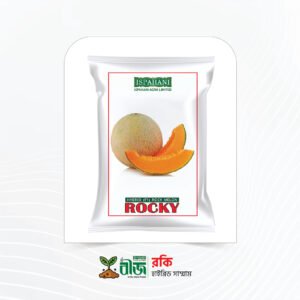 রকি (Rocky) | হাইব্রিড সাম্মাম
