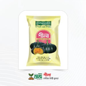 শীলা (Shila) | হাইব্রিড মিষ্টি কুমড়া