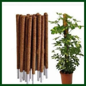 Coco Coir Pole 40 Inch 1Piece