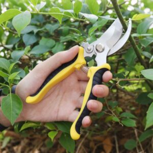 Garden Pruning Shears | Perfect Tool for Plant & Flower Care