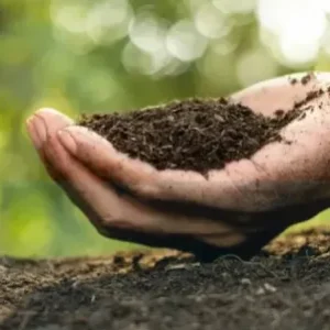 বেলে দোআঁশ মাটি ১ কেজি | Sandy Loam Soil – 1KG | Bele Doash Maati